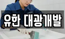유한 대광개발