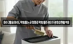 하수구뚫음하수도막힘뚫는곳정화조막힘횡주관오주관청소맨홀역류