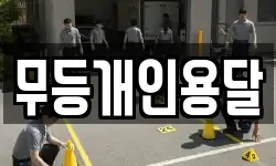 무등개인용달