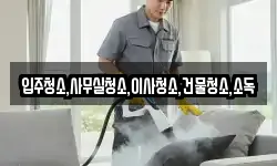 입주청소,사무실청소,이사청소,건물청소,소독