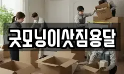 굿모닝이삿짐용달