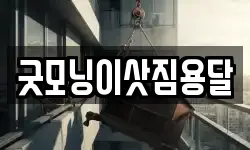굿모닝이삿짐용달