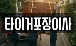 전남 진도군 이사,용달이사,포장이사,원룸이사,보관이사