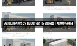 고양이강아지보호소유기묘요양원유기동물파양유기견보호센터쉼터