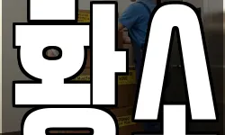 황소