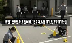 용달1톤용달차,용달이사,1톤트럭,원룸이사,반포장이사화물