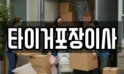 타이거포장이사