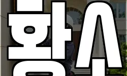 황소