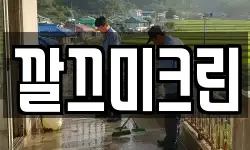 깔끄미크린
