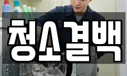 청소결백