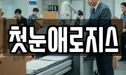 전남 화순군 이서면 이사,용달이사,포장이사,원룸이사,보관이사