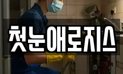첫눈애로지스
