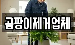 곰팡이제거업체