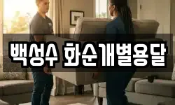 백성수 화순개별용달