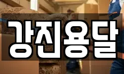 강진용달