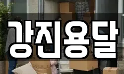 강진용달
