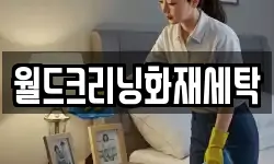 월드크리닝화재세탁