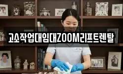 고소작업대임대ZOOM리프트렌탈