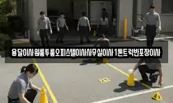 용달이사원룸투룸오피스텔이사사무실이사1톤트럭반포장이사