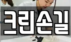 크린손길