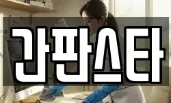간판스타