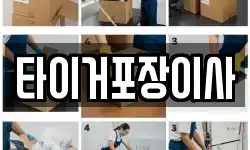 타이거포장이사