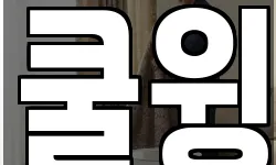 쿨윙