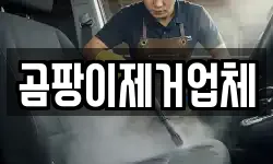 곰팡이제거업체