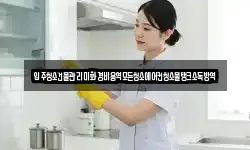 입주청소건물관리미화경비용역모든청소에어컨청소물탱크소독방역