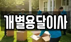 개별용달이사