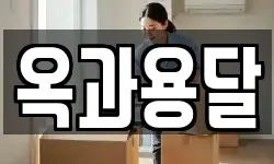 옥과용달