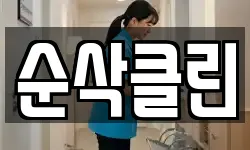 순삭클린