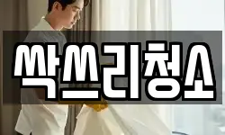 싹쓰리청소