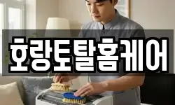 전라남도 광양시 광양읍 청소,입주청소,사무실청소,에어컨청소