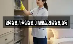 입주청소,사무실청소,이사청소,건물청소,소독
