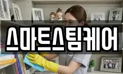 스마트스팀케어