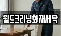 월드크리닝화재세탁