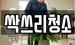 싹쓰리청소