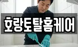 호랑토탈홈케어