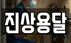 전라남도 광양시 진상면 이사,용달이사,포장이사,원룸이사,보관이사
