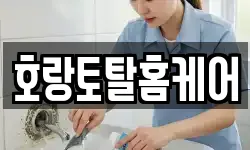호랑토탈홈케어
