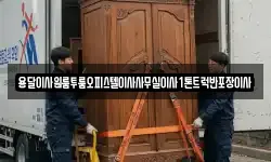용달이사원룸투룸오피스텔이사사무실이사1톤트럭반포장이사