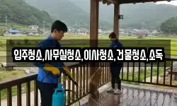 입주청소,사무실청소,이사청소,건물청소,소독