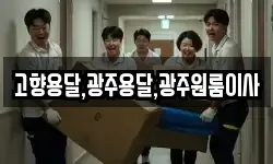고향용달,광주용달,광주원룸이사
