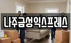 나주금성익스프레스