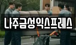 나주금성익스프레스