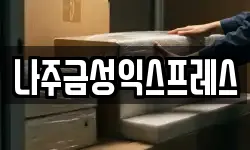 나주금성익스프레스