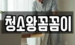 청소왕꼼꼼이