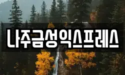 나주금성익스프레스