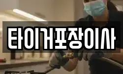 타이거포장이사